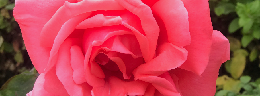 Mediation Conflict Resolution Conflict Management Dispute Resolution Restorative Practice Workplace Mediation Family Mediation Professional Mediation Services Mediation Skills Training Conflict Coaching Communication Skills Difficult Conversations Negotiation Skills Emotional Intelligence Leadership & Conflict Workplace Communication